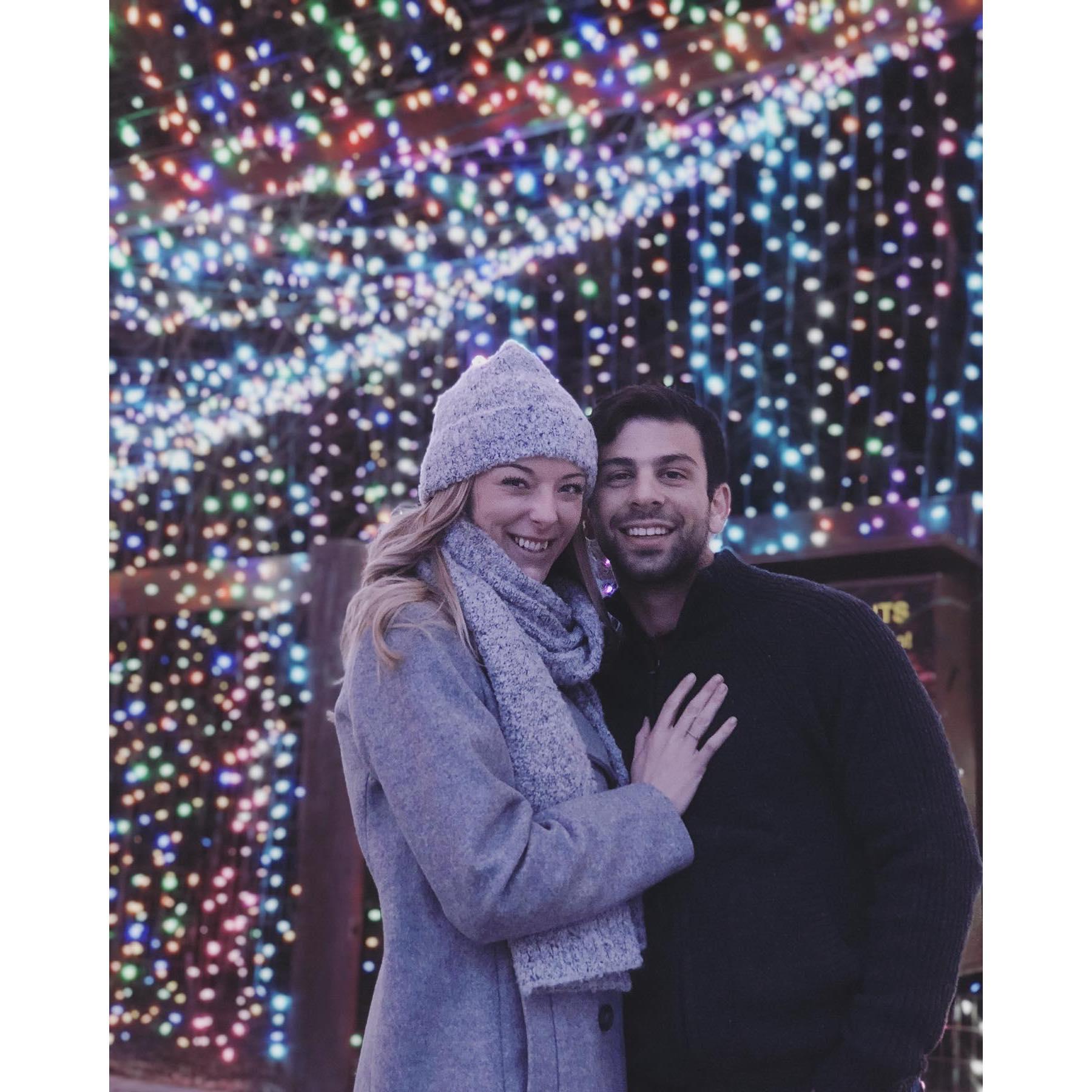 Zoo lights 2018