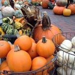 Dane County Farmers' Market