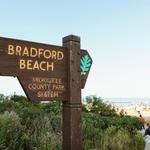 Bradford Beach