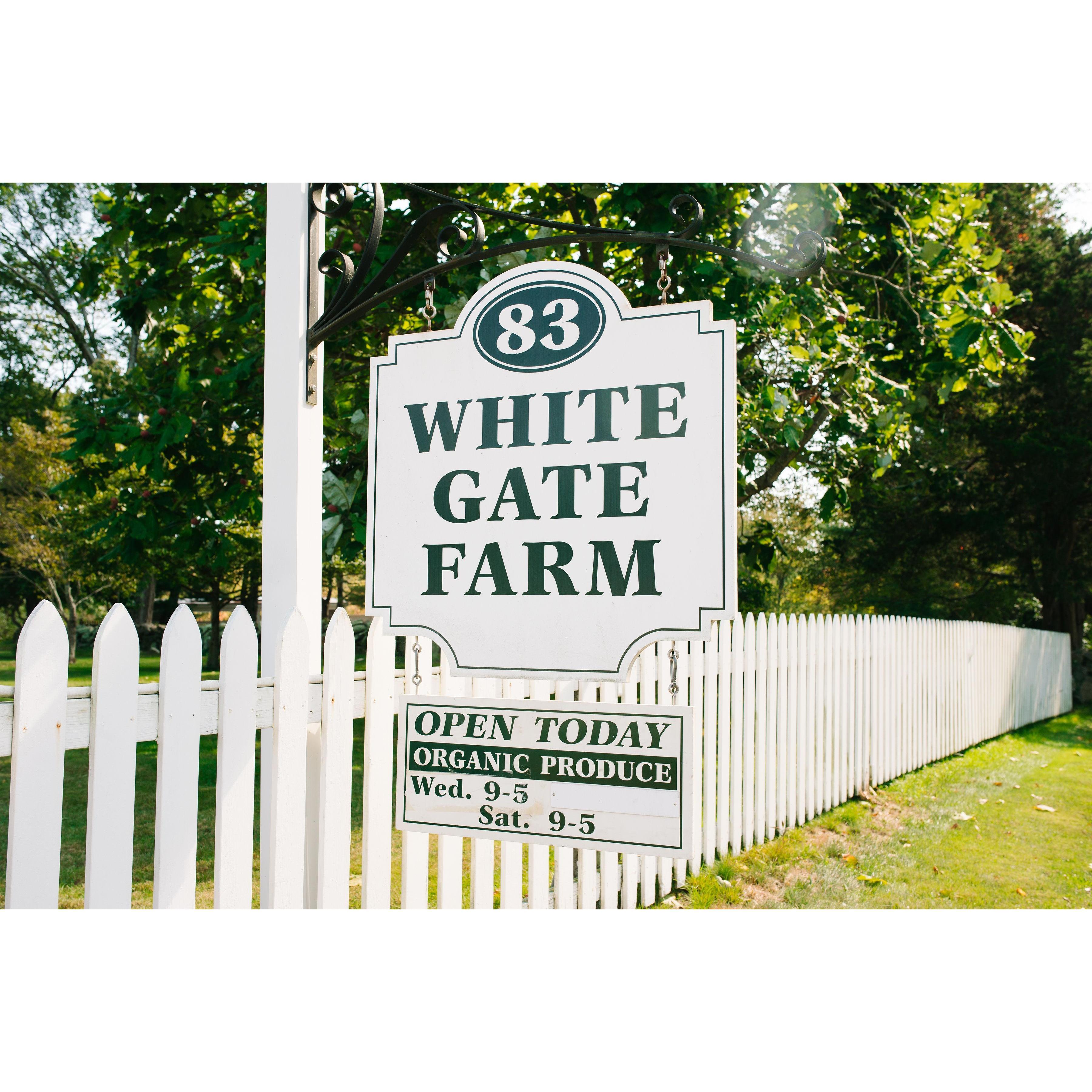 The next afternoon we had a small, casual, reception at the beautiful organic White Gate Farm in East Lyme, CT.