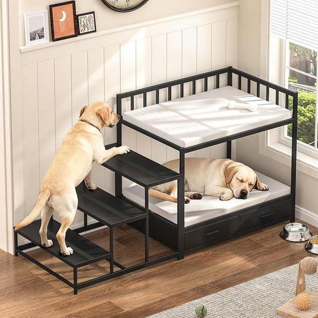 GDLF Dog Bunk Beds for Large Dogs, Dog Bedside Bed with Stairs & Storage, Space-Saving Indoor pet Furniture