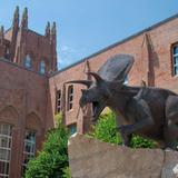 Yale Peabody Museum