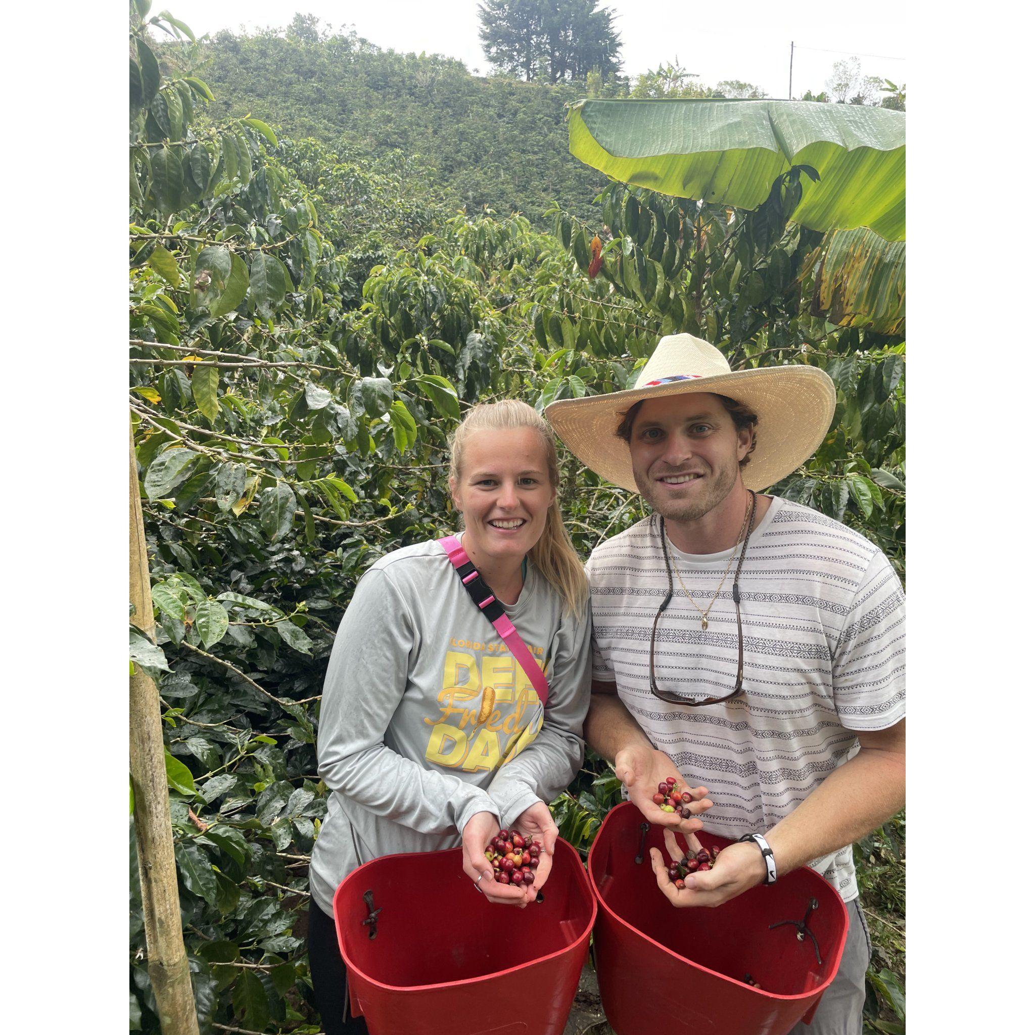We picked coffee beans in Colombia. We both LOVE coffee