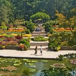 Duke Gardens