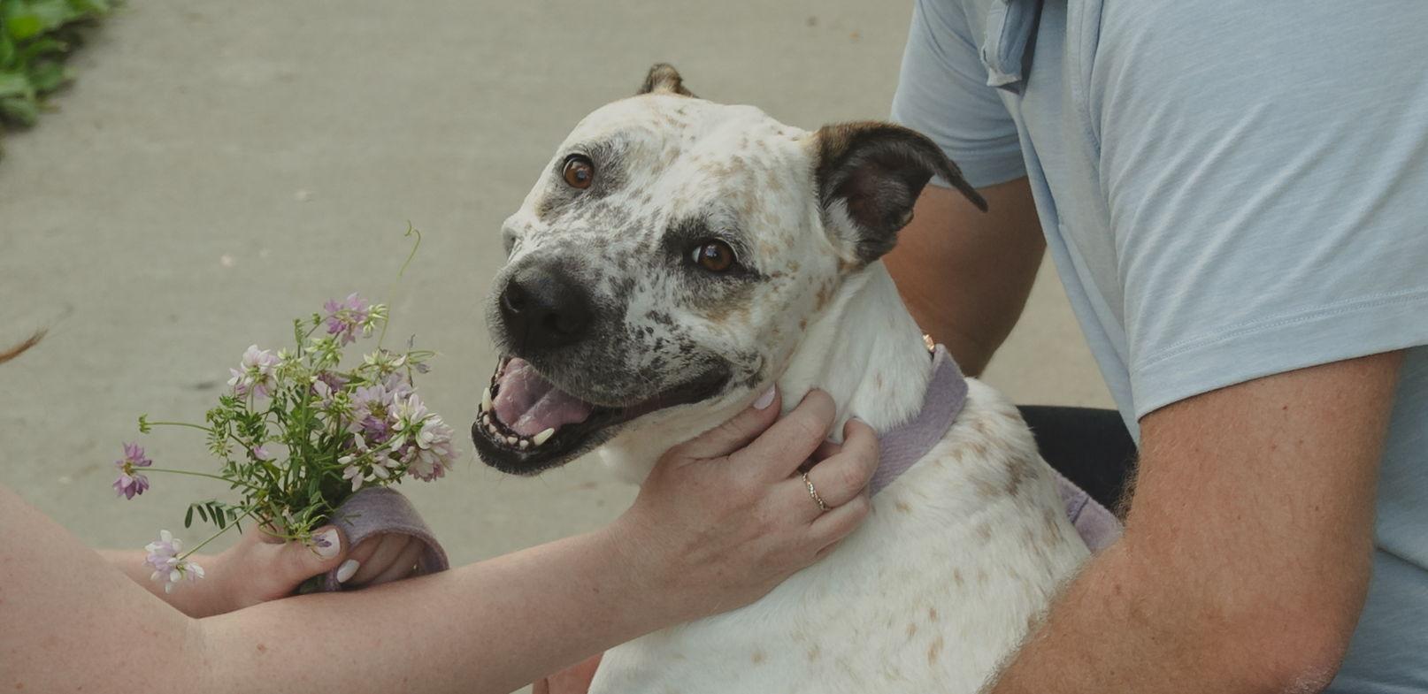 The Wedding Website of Karla Bromwell and Garrett Russell