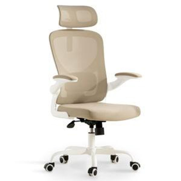 Ergonomic Office Chair (C2) | Flexispot