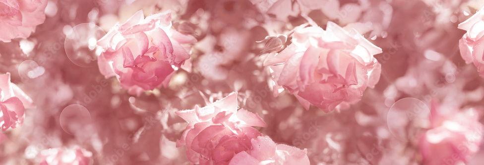 The Wedding Website of Janeth Gutierrez Vazquez and Andres Gurrola