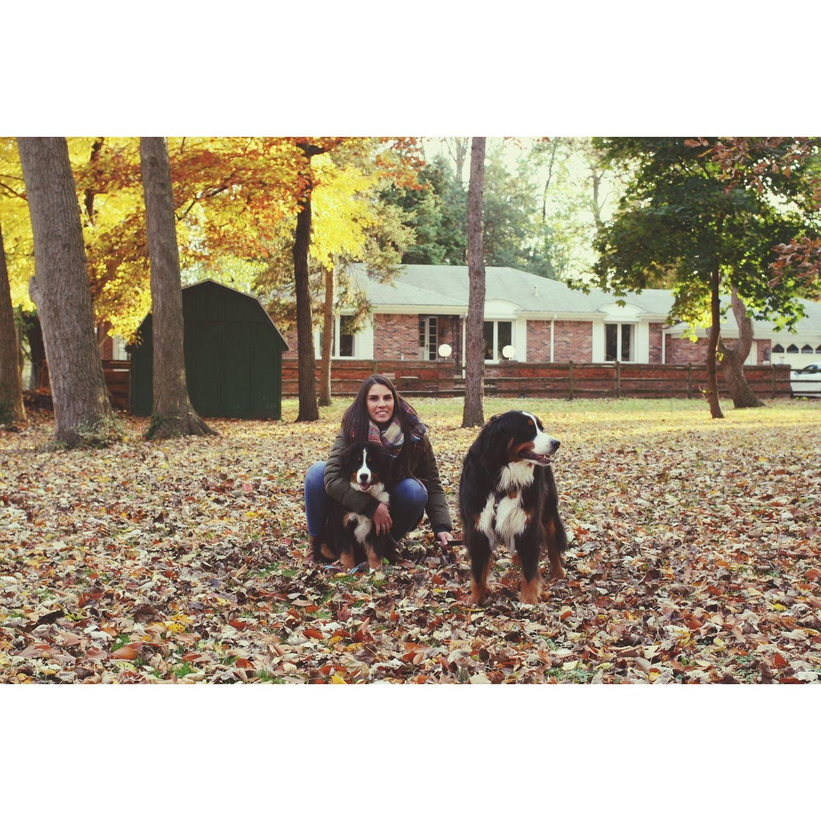 Fall photos in our front yard