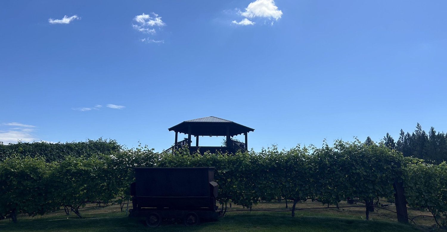 The Wedding Website of Eden Stilman and Aidan Welsh