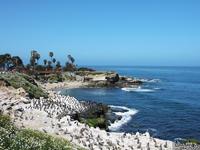 La Jolla Cove