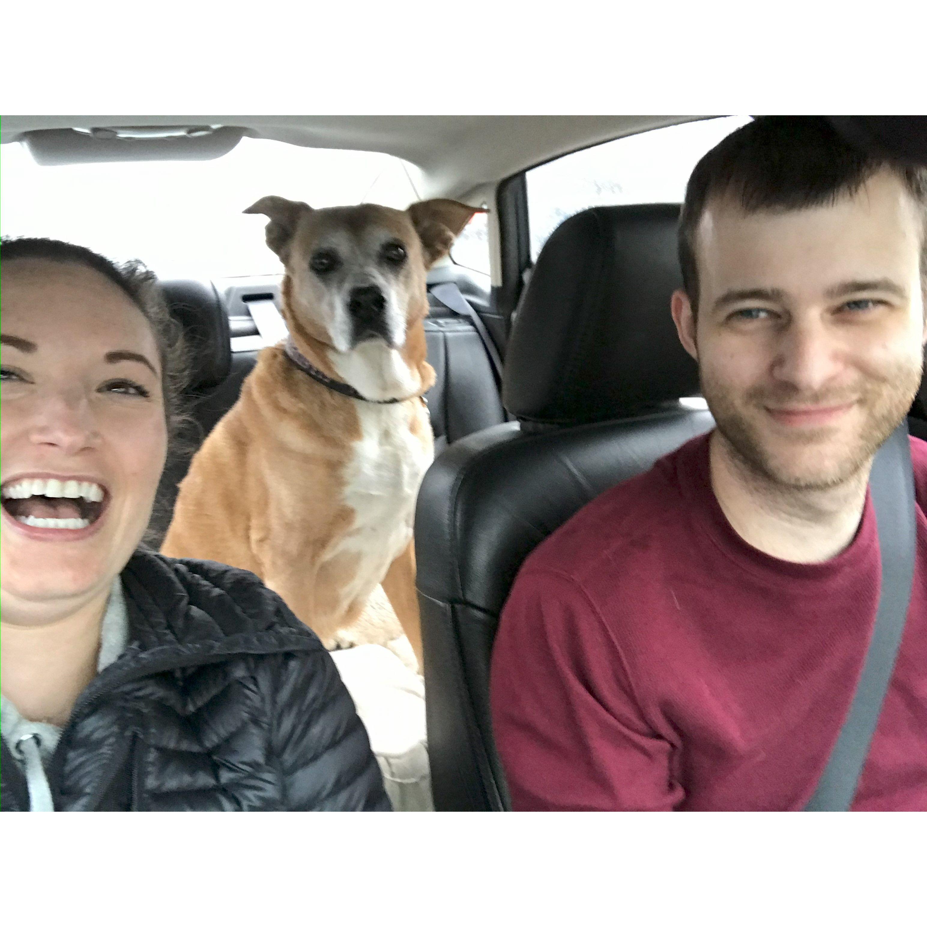 First trip to see Alex's parents near Detroit, Michigan. One of the few pictures we got Mali (RIP) to look at the camera. We're parked here so she was distracted and looking for threats. November 2020