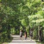 Razorback Greenway