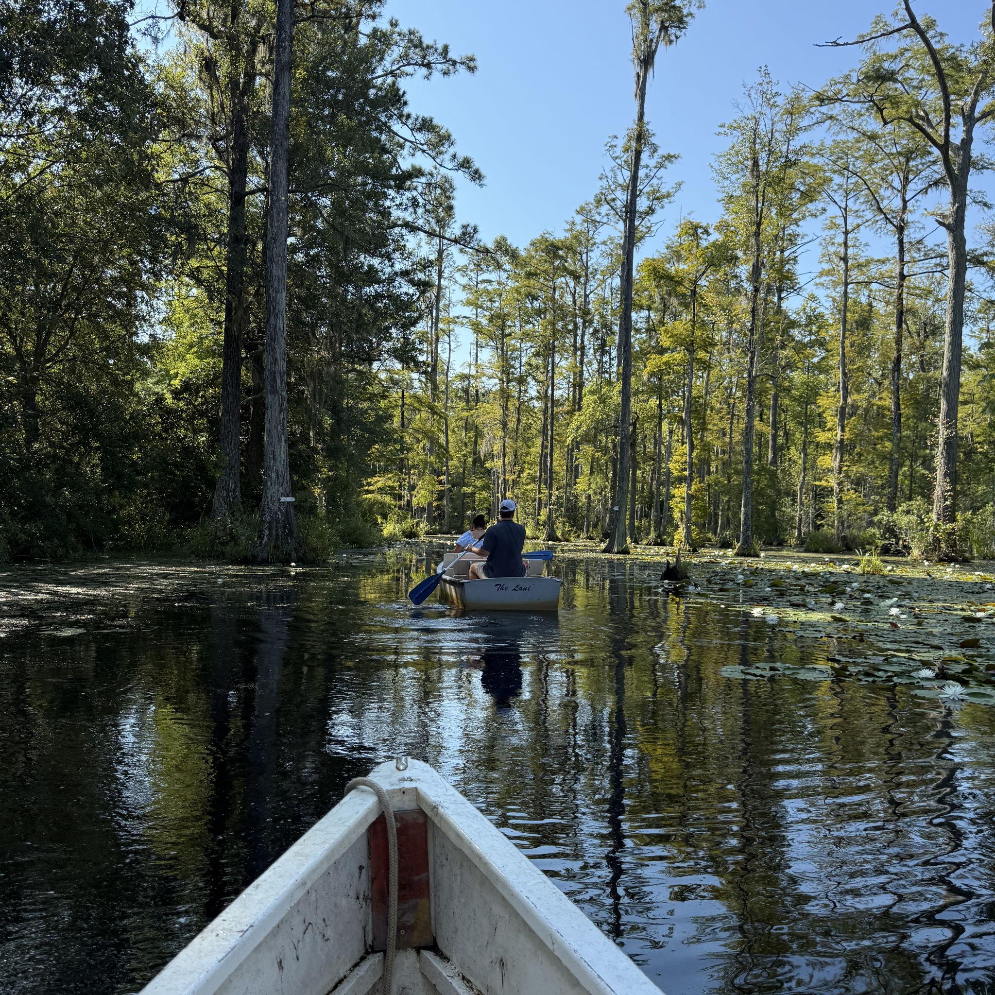 Trip to Cypress Gardens, where the Notebook was filmed!