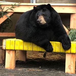 Tickets to the Sequoia Park Zoo!