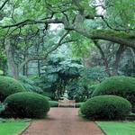 Cantigny Park