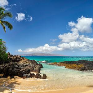 Our Honeymoon to Maui fund