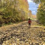 Powderhorn Mountain Resort