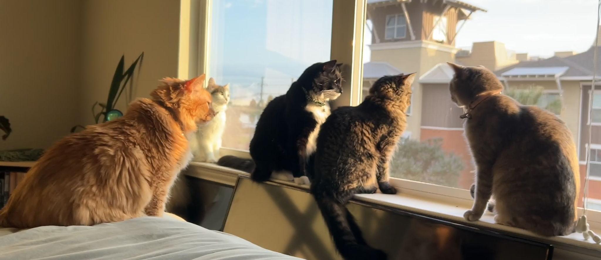 5b70519b-f2b7-448c-85f7-1afec2e1628c