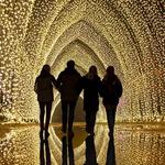 Chicago Botanic Garden's Lightscape