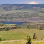 Gorge Views - Rowena Crest Viewpoint (Drive/Bike/Hike)