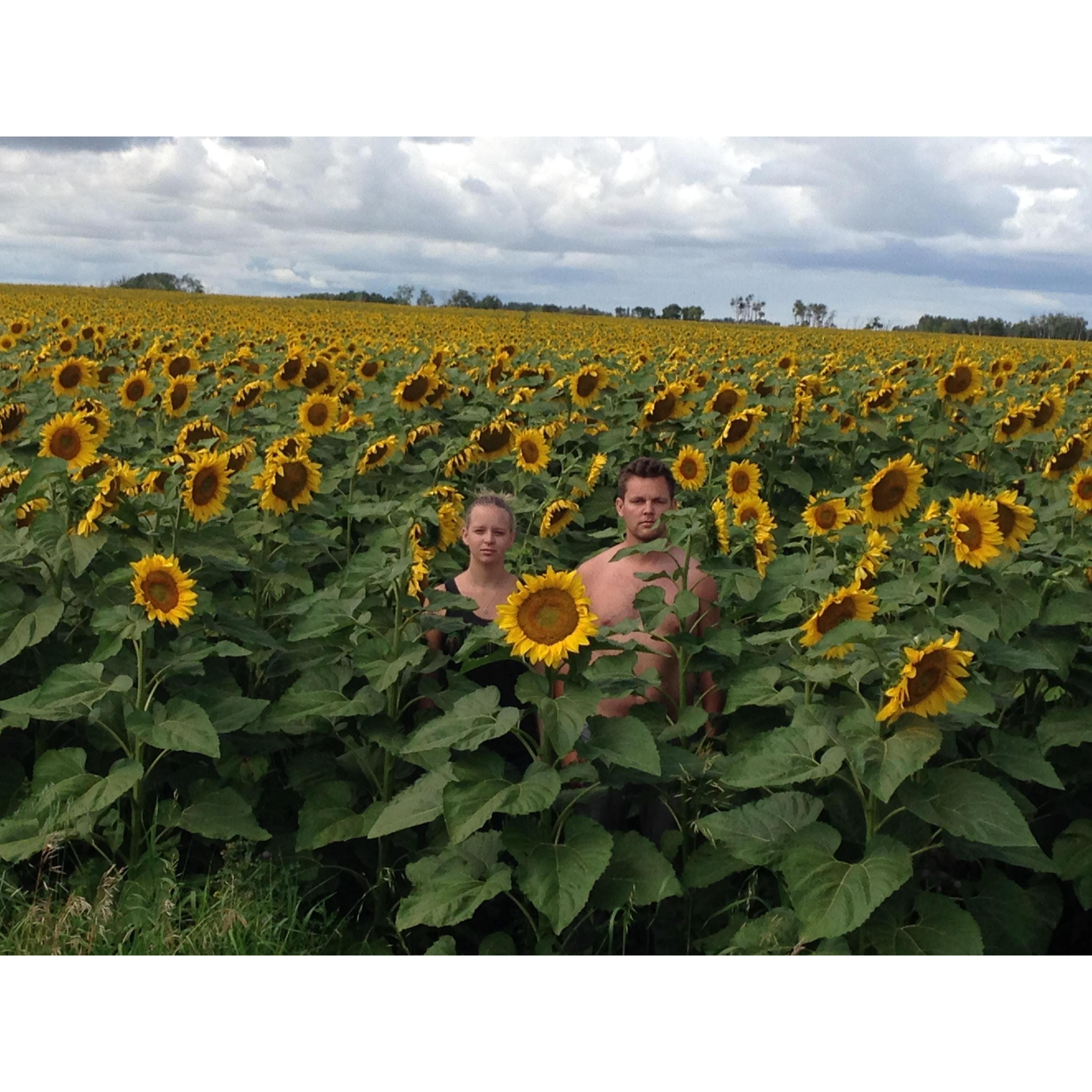 Manitoba, Canada. August 2016.