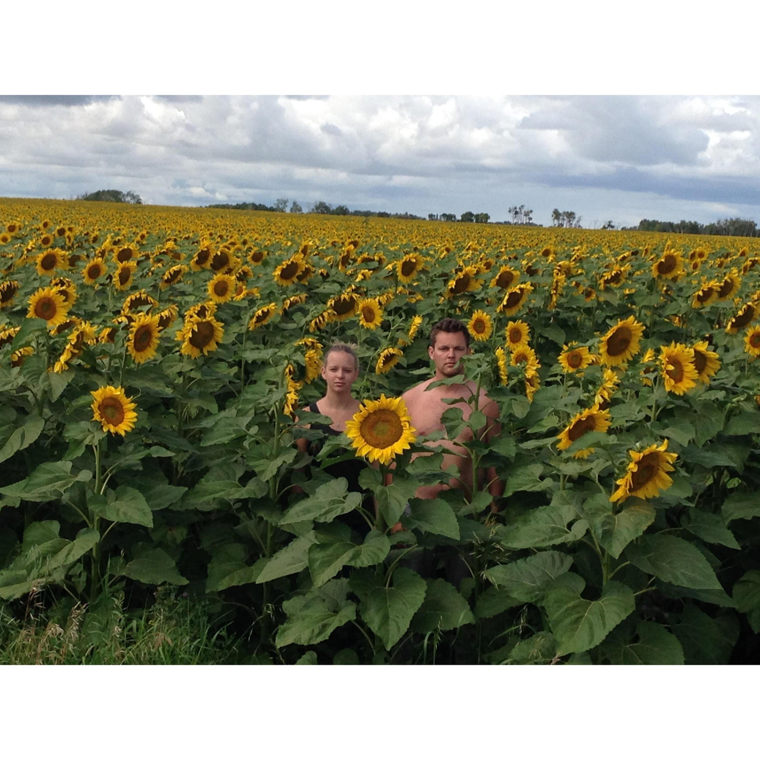 Manitoba, Canada. August 2016.