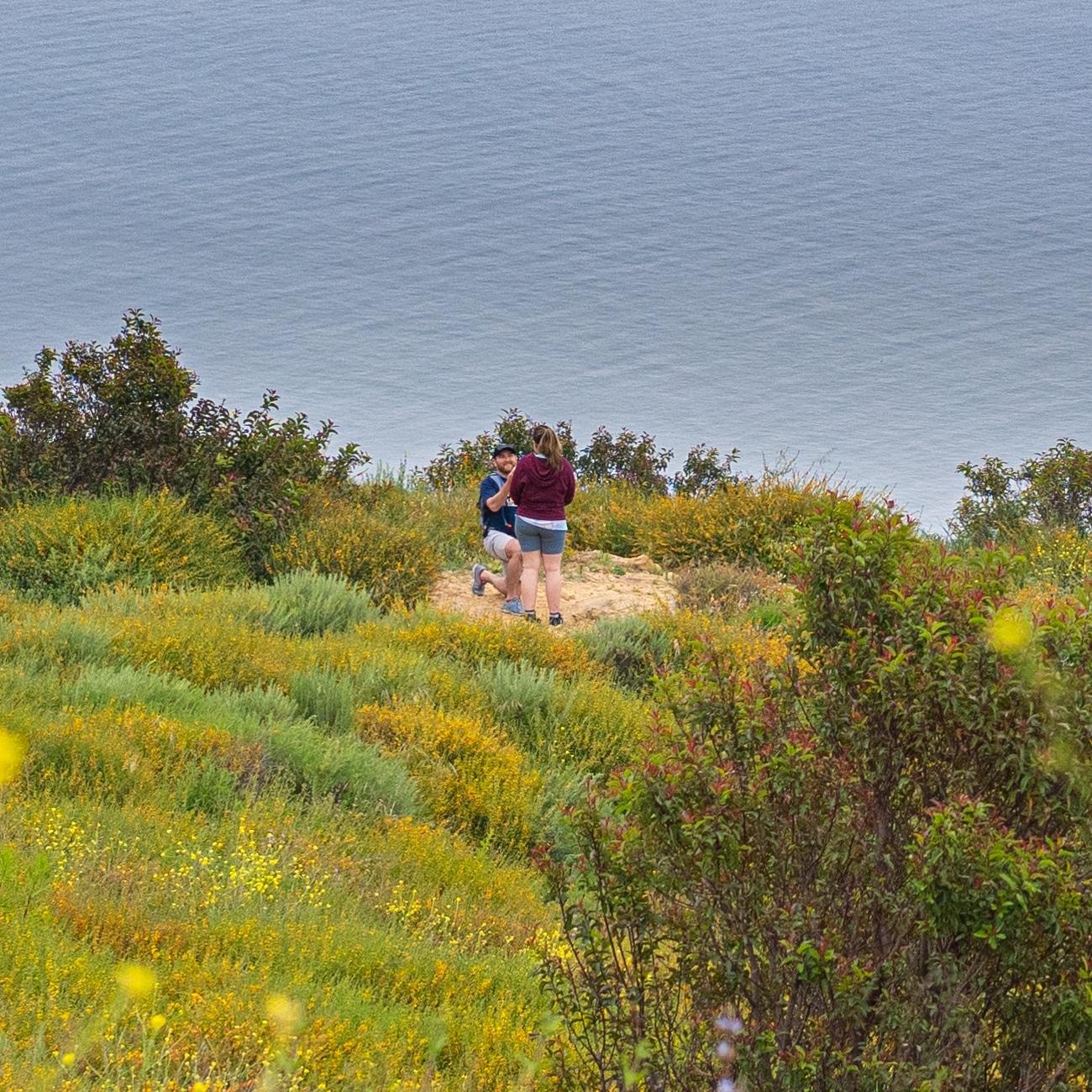 Engagement in Malibu, 4/20/2024
