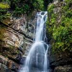 El Yunque Tropical Forest