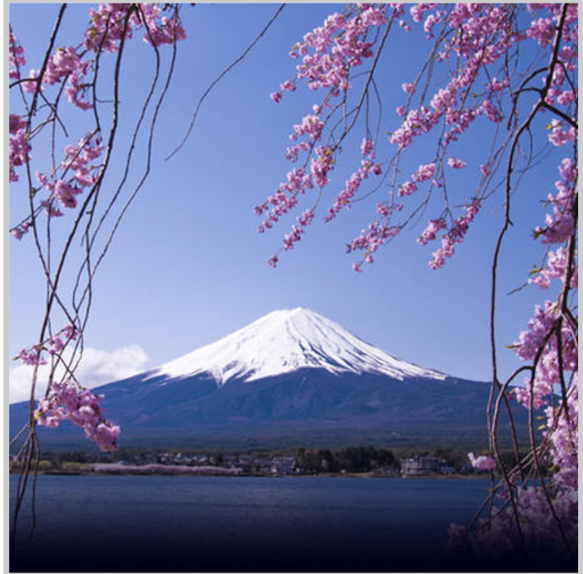 5b767ccd-217d-491c-9449-c93bd283dd61