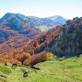 Pollino National Park