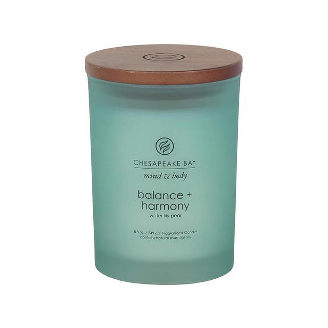 Chesapeake Bay Candle PT31920 Mind & Body Collection Balance + Harmony, Medium Jar Candle