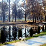 City Park