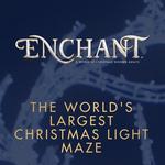 Enchanted Christmas Arlington