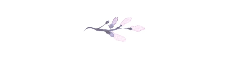 The Wedding Website of Amelia Austen and Tyler Woolf