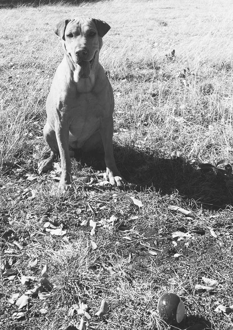 The Wedding Website of Alyse Thomas and Jake Kuklick