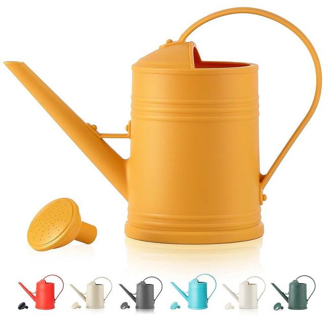 Watering Can for Indoor Plants, Flower Watering Can with Detachable Sprinkler Head, Indoor Watering Can for House Plants, Flowers 68oz 1/2 Gallon