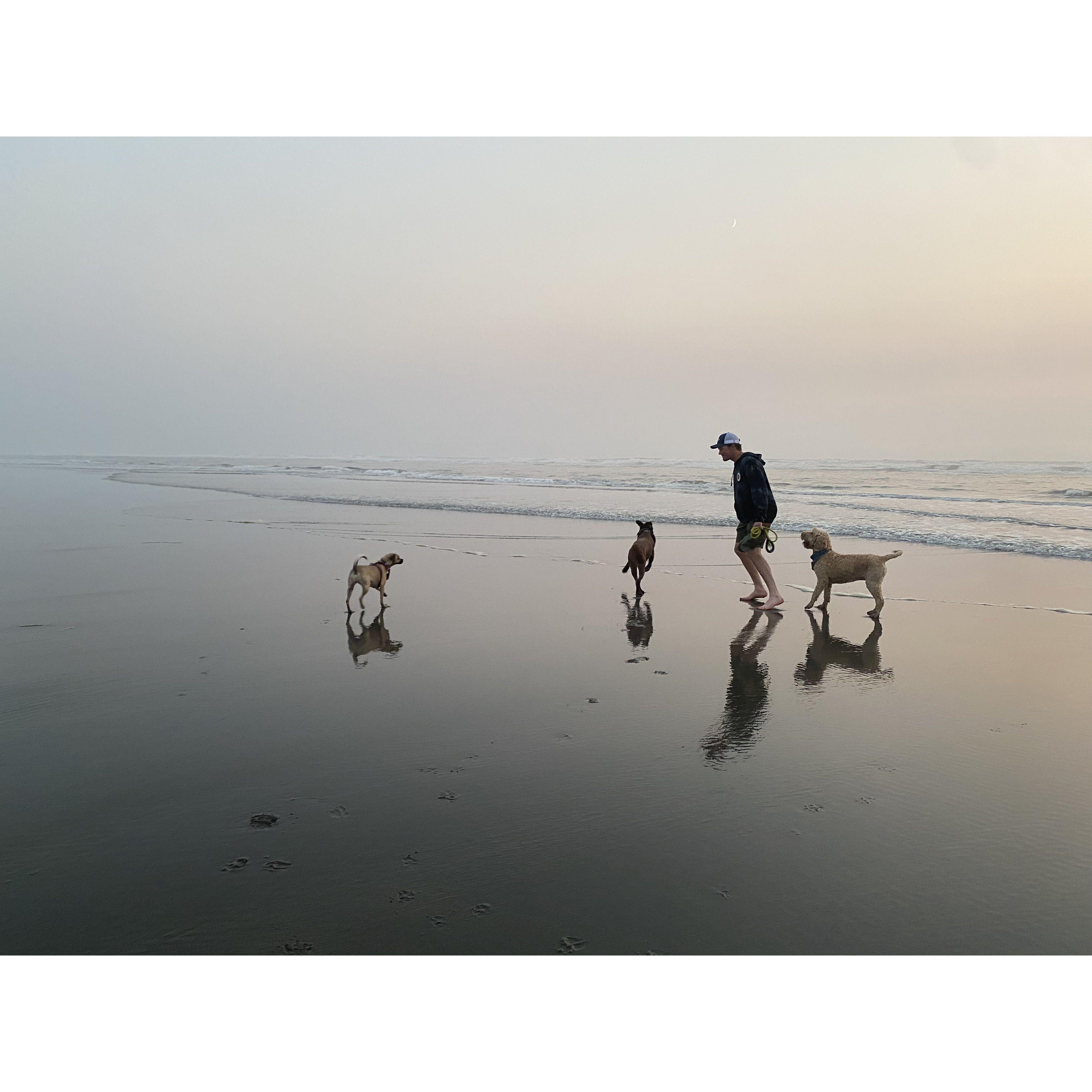Chris and the dogs at the beach in Ocean Park