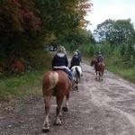 Stony Lake Stables