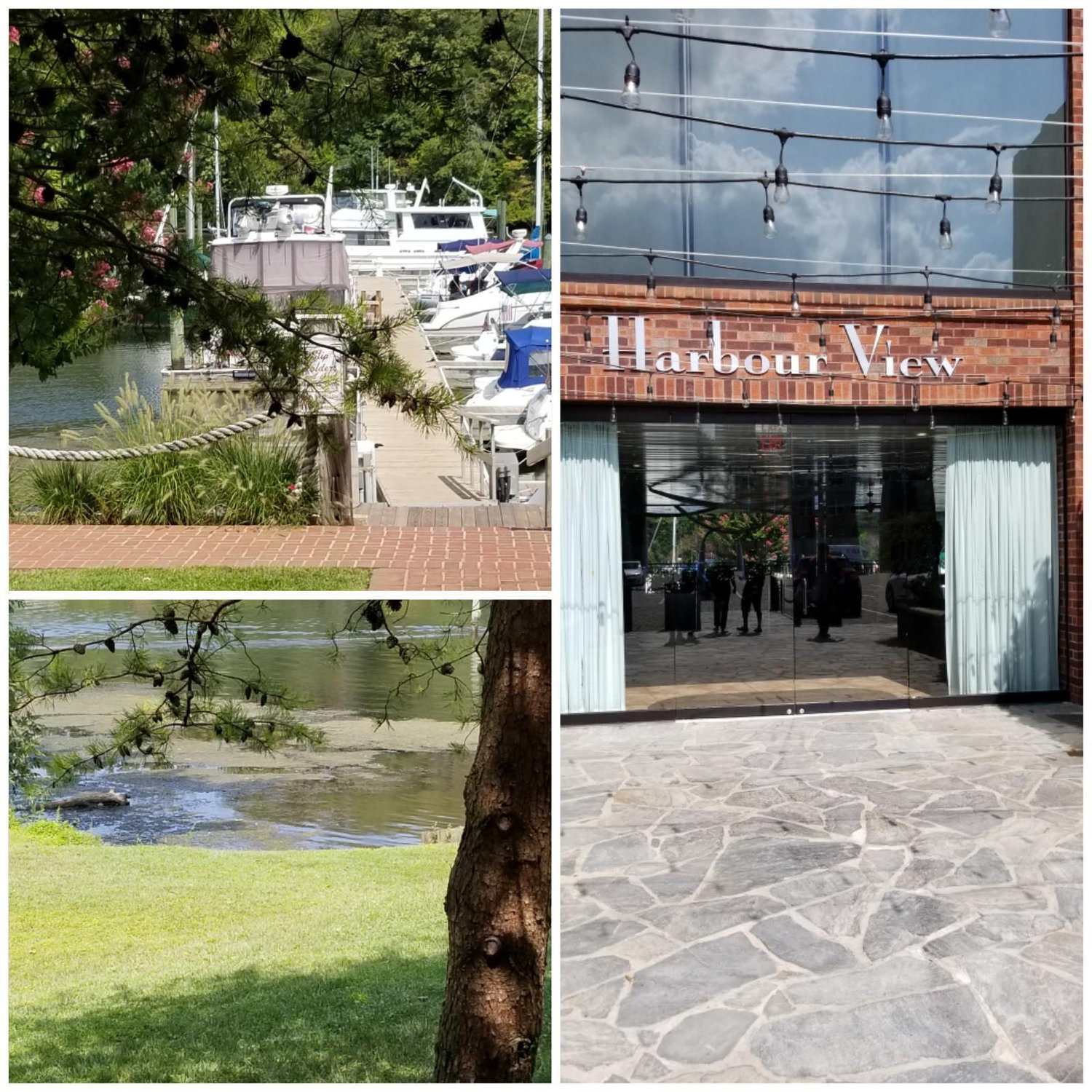 Daniel and I along with my parents toured a venue today (8.31). Parents and fiance LOVED the location and are excited! Although, I liked the venue I  want to see one more.😊But.  I may just concede.😊