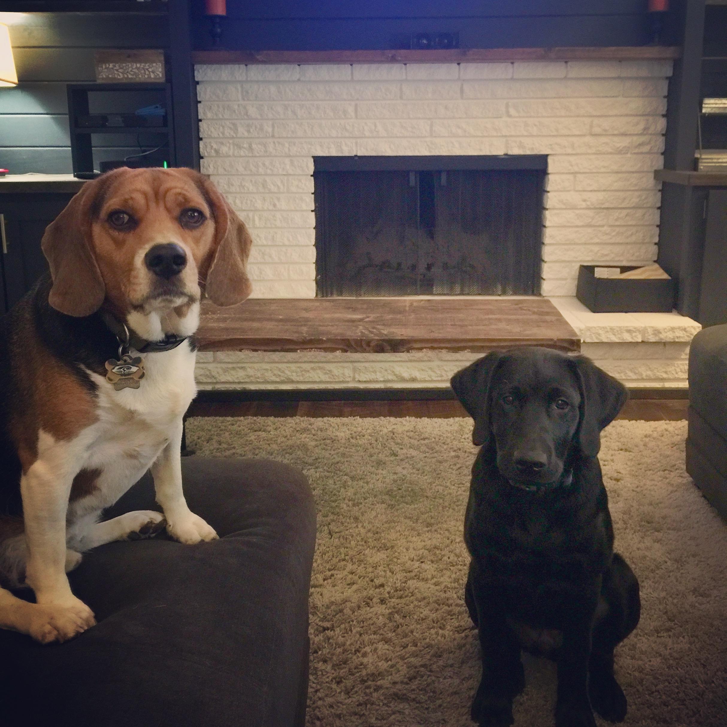 Trouble 1 & 2.