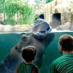 Cincinnati Zoo & Botanical Garden