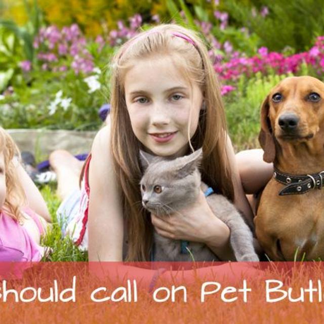 Pet Butler - We Scoop Poop! Serving pets and their people since 1988.