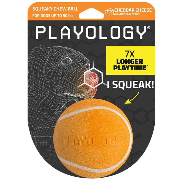 Playology Dog Toys | Squeaky Chew Ball for Dogs| Cheddar Cheese Scented Medium Dog Ball | Bouncy Floating Dog Balls