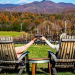 Wine Tasting