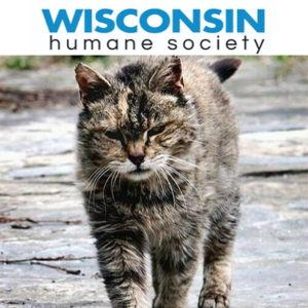Wisconsin Humane Society