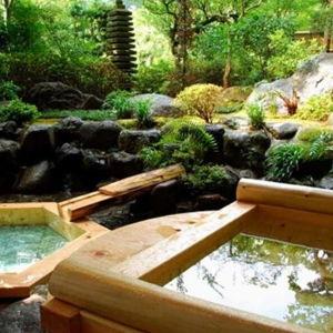 Ryokan Night With Private Onsen