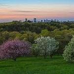 Arnold Arboretum of Harvard University