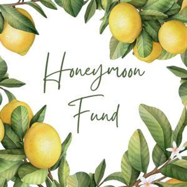 Our Honeymoon Fund