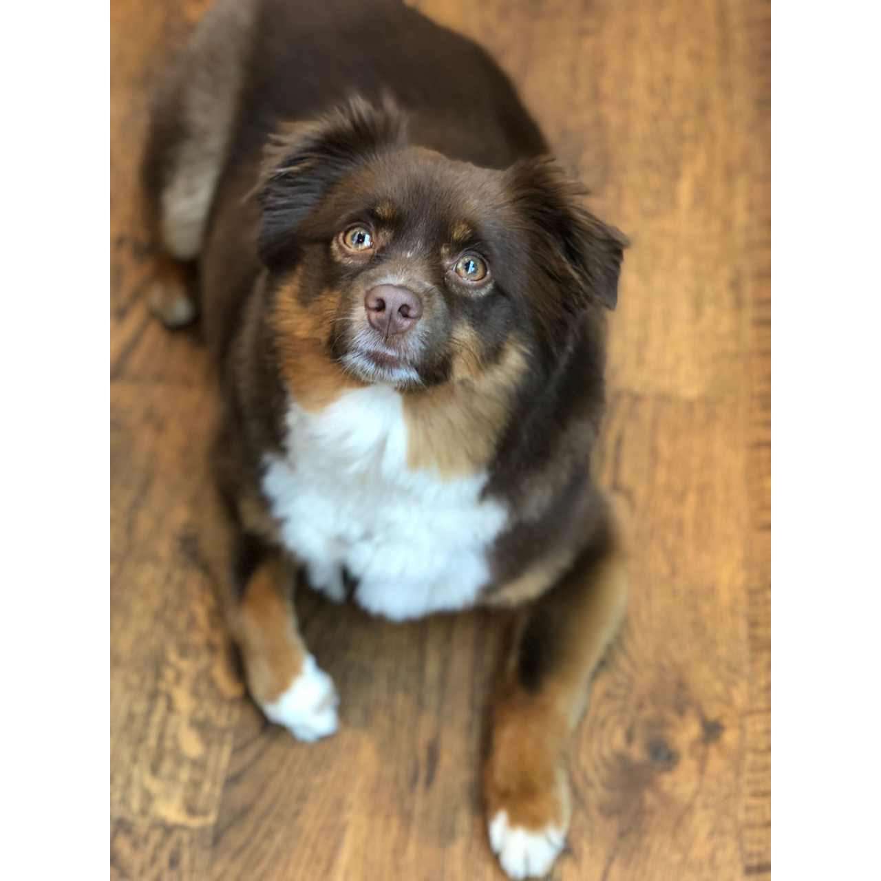 Our lil' model.
