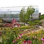 Myriad Botanical Gardens